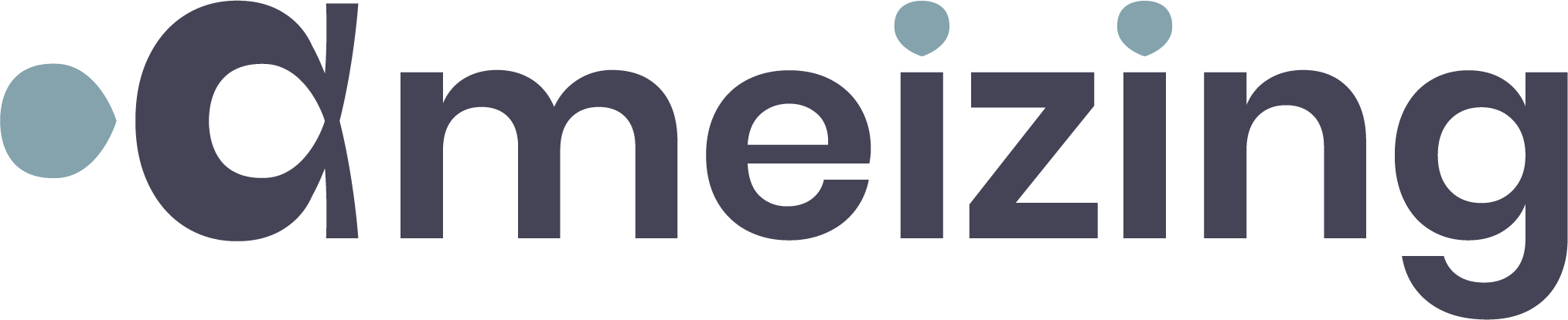 Logo d'Ameizing